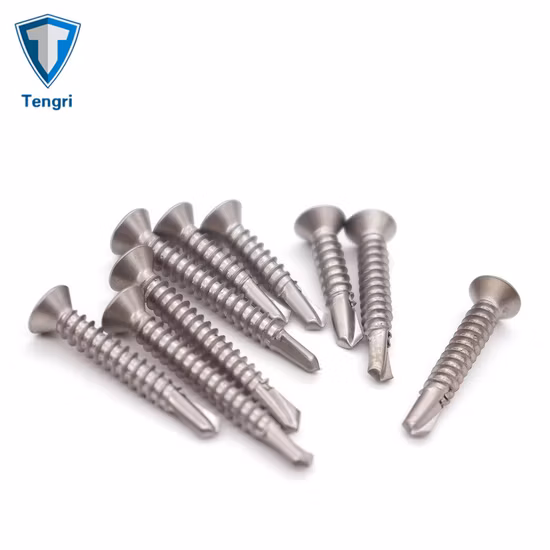Duplex 2205-Befestigungselemente, selbstbohrende Torx-Flachkopfschraube, diebstahlsichere Dachschraube, manipulationssichere Maschinenschraube, Torx-Tek-Schrauben