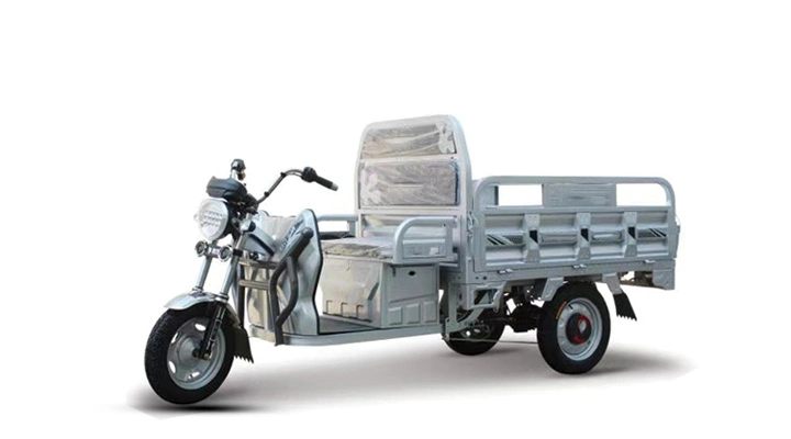 Factory Selling Means of Conveyance Three Wheels 500W/800W/1000W Trike Transport Tricycle with Large Cargo