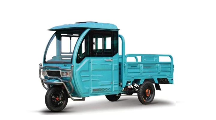 Factory Selling Means of Conveyance Three Wheels 500W/800W/1000W Trike Transport Tricycle with Large Cargo