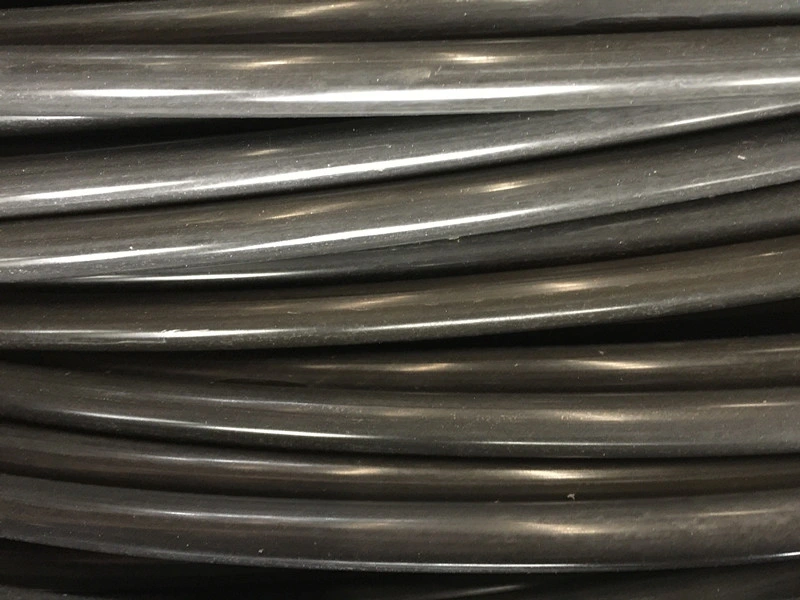 Cold Heading Quality Wire Rod SAE10b21 Phosphate Coated Class 8.8 Steel Wire for Making Screws