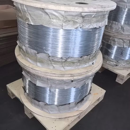 Großhandel SAE10b21 A53 Q235, Q345, Q195 Hochwertiger 0,20-10,00 mm Kaltstauch-hartgezogener, ölgehärteter, verzinkter Kohlenstoffstahldraht für Federn